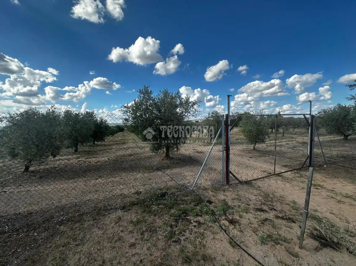 Land for sale in Guareña