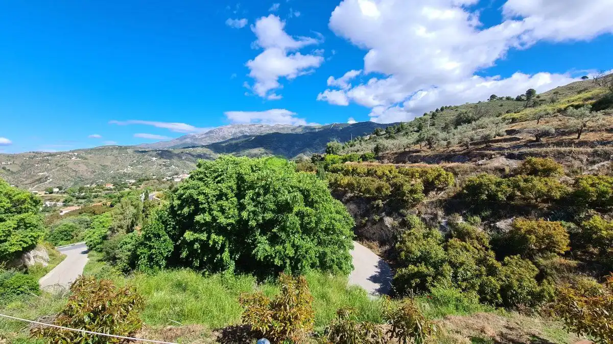 Vista exterior de Finca rústica en venta en Cómpeta con Jardín privado, Terraza y Trastero