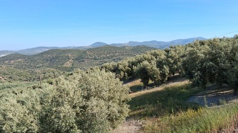 Fincas Cortijo del Cerro, immagine 4