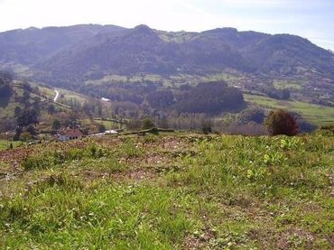 Terreno residenziale in vendita a Candamo