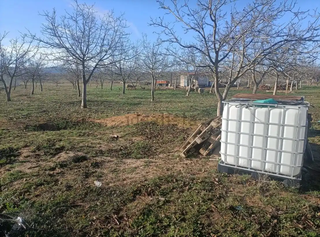 Rural land for sale in Manzaneque, imagen 8