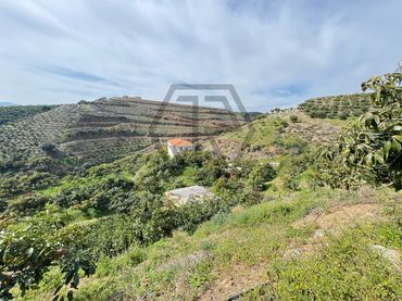 Terreny rústic en venda a Atalaya Baja