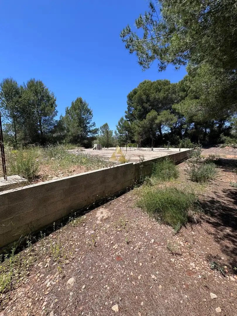 Country homes for sale in Partidas de interior - Zona Rústica