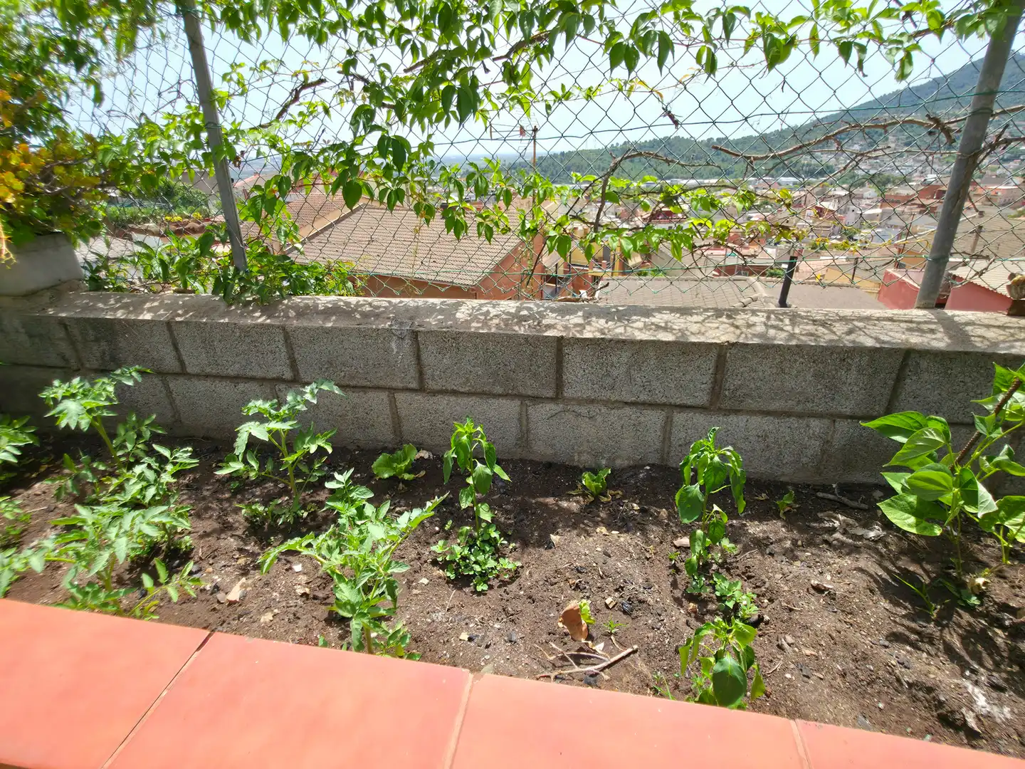 Jardín de Casa o chalet en venta en Sant Vicenç Dels Horts con Aire acondicionado, Calefacción y Jardín privado