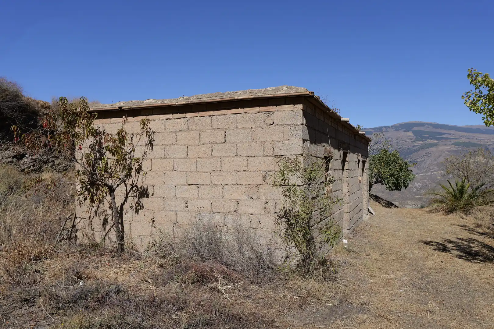 Vista exterior de Finca rústica en venta en Cádiar