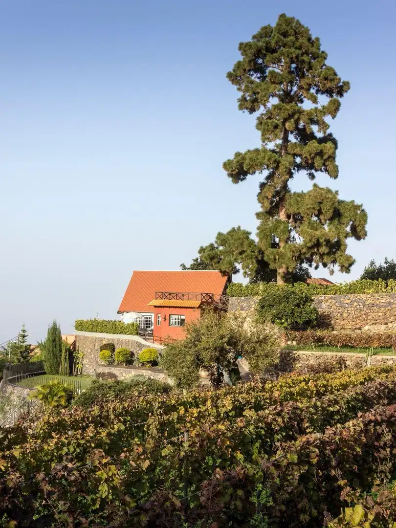 Außenansicht von Country house zum Verkauf in Santa Úrsula mit Privatgarten, Terrasse und Schwimmbad