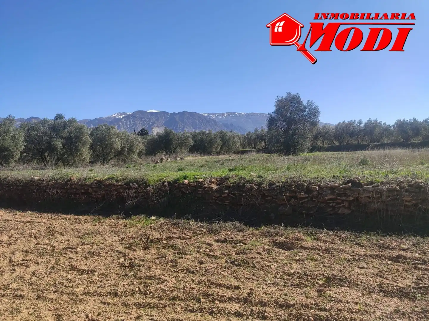 Terrenys i solars en venda a Villamena, imagen 10