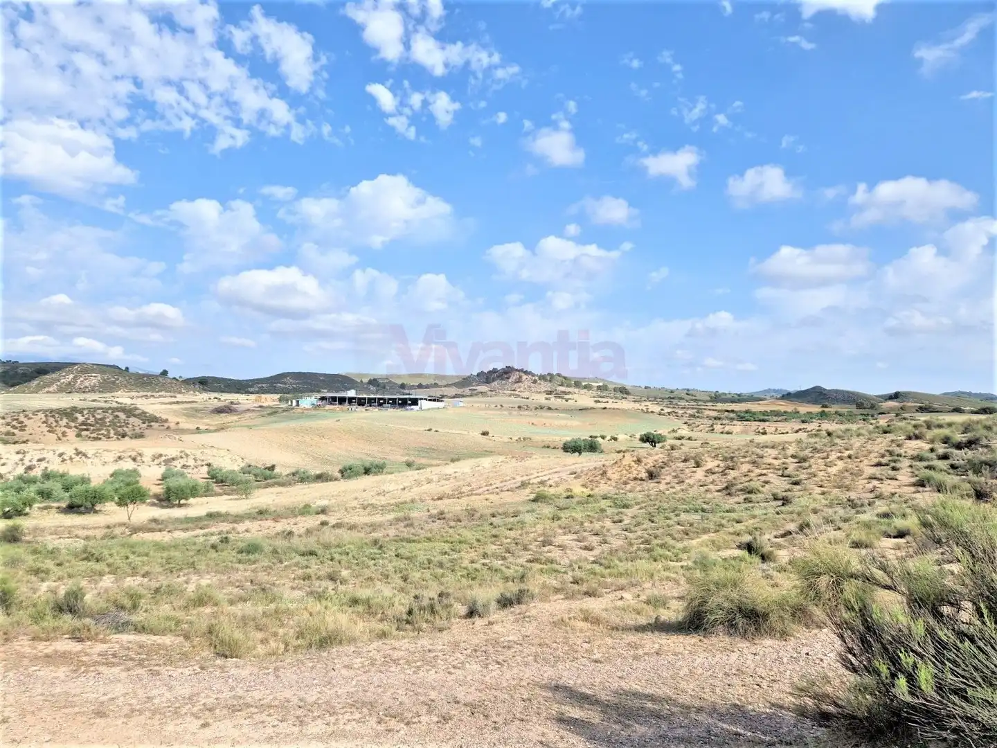 Casa o chalet en venta en Lorca