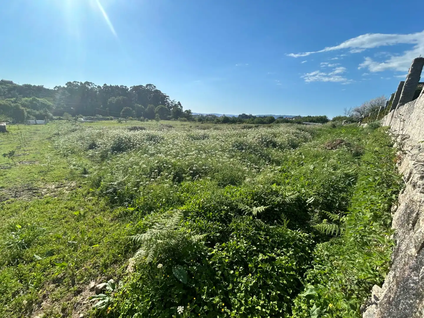 Terreno rustico in vendita a Marín