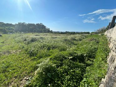 Terreno rustico in vendita a Marín