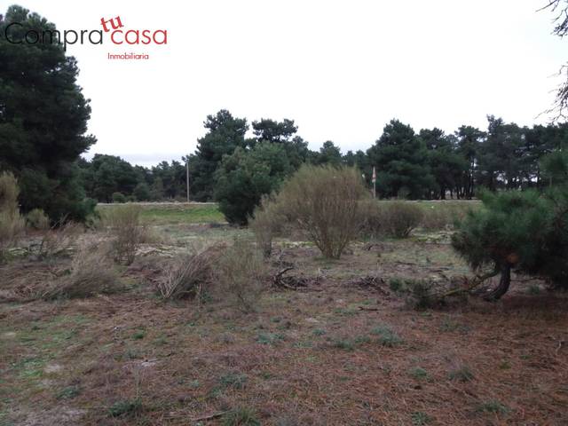Terreno en Venta en Navas de Oro