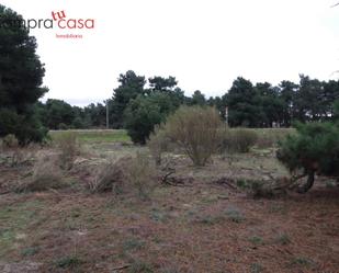 Land for sale in Navas de Oro