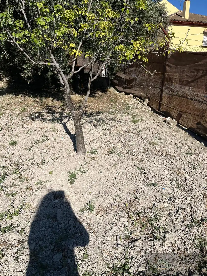Finca rústica en venta en Rute