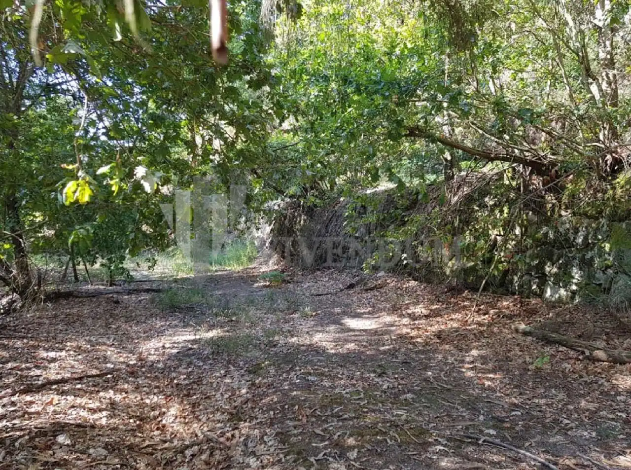 Residential for sale in Arbo