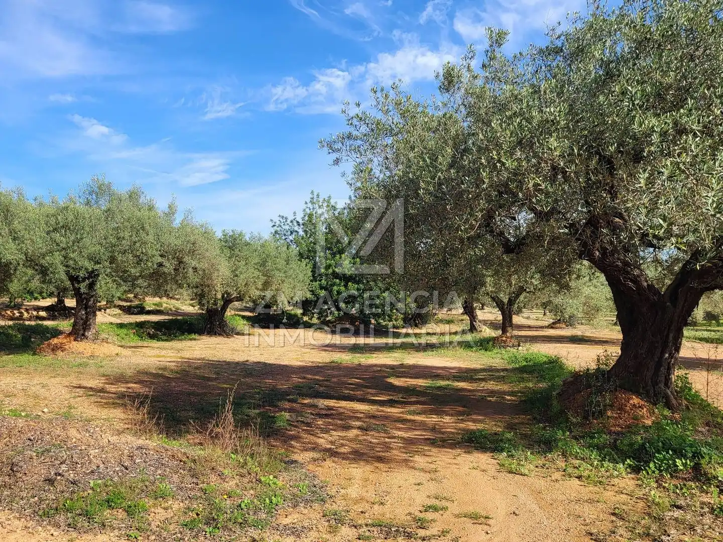 Terreno rustico in vendita a Traiguera, imagen 10