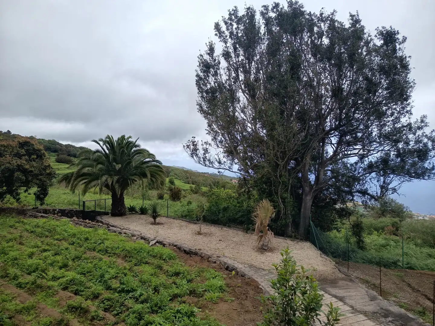 Land for sale in Icod de los Vinos