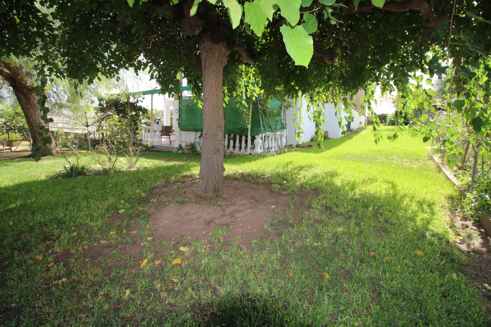 Villa con piscina in vendita a Catadau, imagen 17