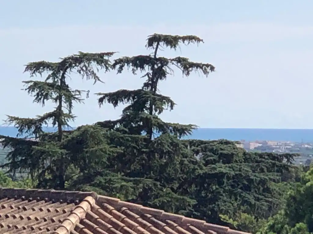 Jardín de Casa adosada de alquiler en Godella con Calefacción y Piscina