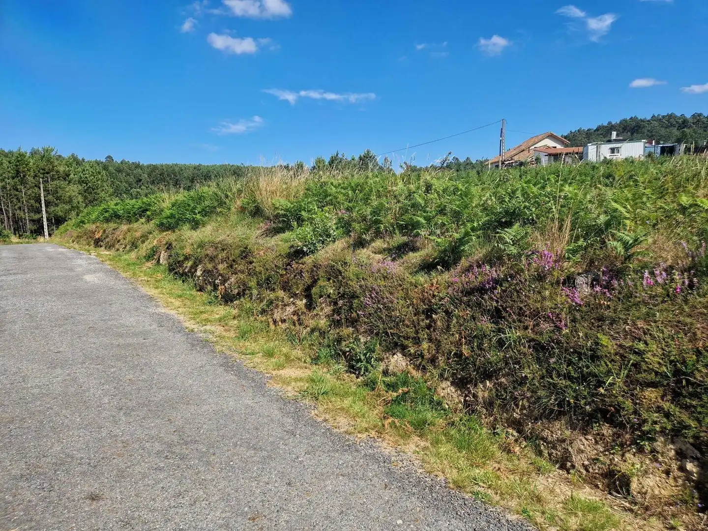 Lands and plots for sale in Brión, imagen 9