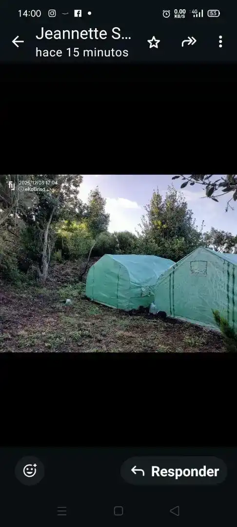 Finca rústica en venda en El Tanque, Santa Cruz de Tenerife