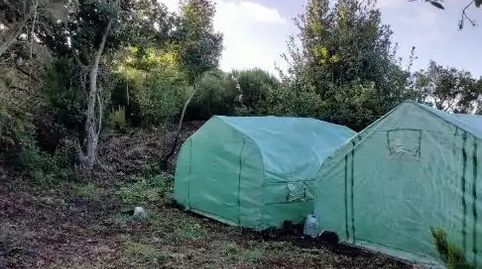 Foto 5 de Finca rústica en venda a Pista la Cancela, 97, El Tanque, Santa Cruz de Tenerife