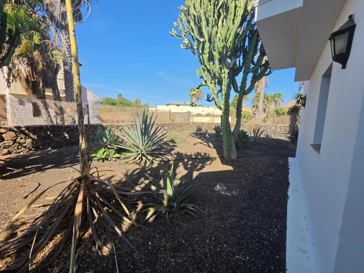 Jardí de Casa o xalet en venda en La Oliva pueblo