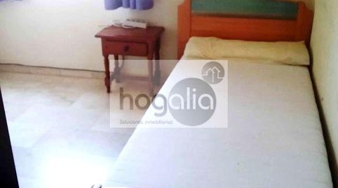 Foto 3 de Piso de alquiler en Barrio del Nervión, Sevilla Capital