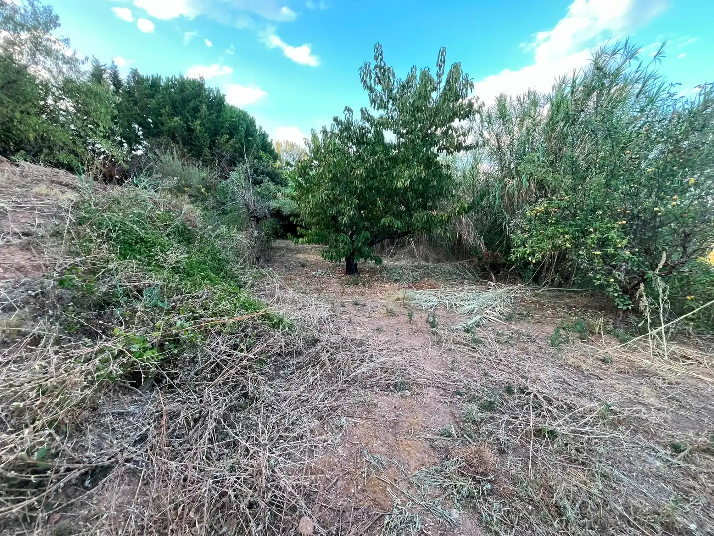 Terreno rústico en venta en Diseminado Nalda, imagen 19