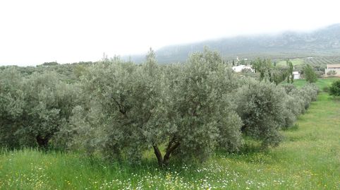 Foto 5 de Terreno en venta en Calle Cerro Limon , Cueva de Menga, Antequera
