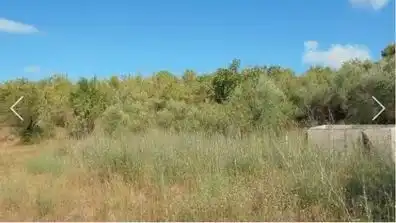 Rural land for sale in Els Guiamets, imagen 6