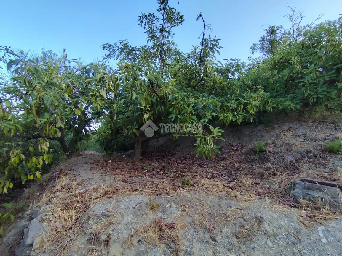 Terreno rustico in vendita a Los Guájares, imagen 18