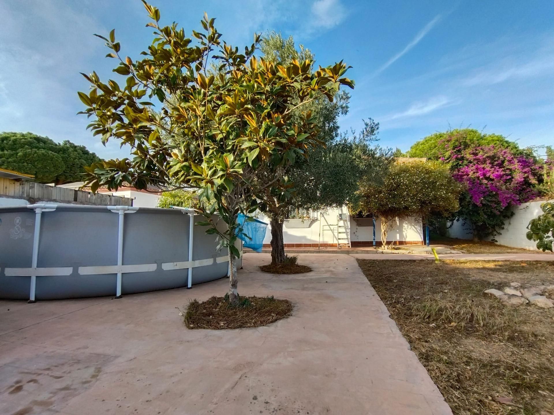 Jardí de Casa o xalet en venda en Chiclana de la Frontera amb Aire condicionat, Jardí privat i Terrassa