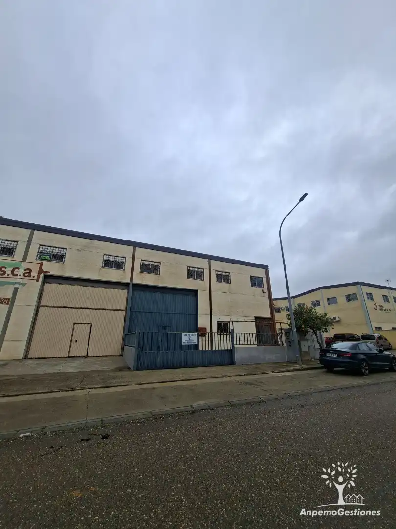 Nave industrielle à vendre à Calle Naranja Salustiana 30, imagen 6