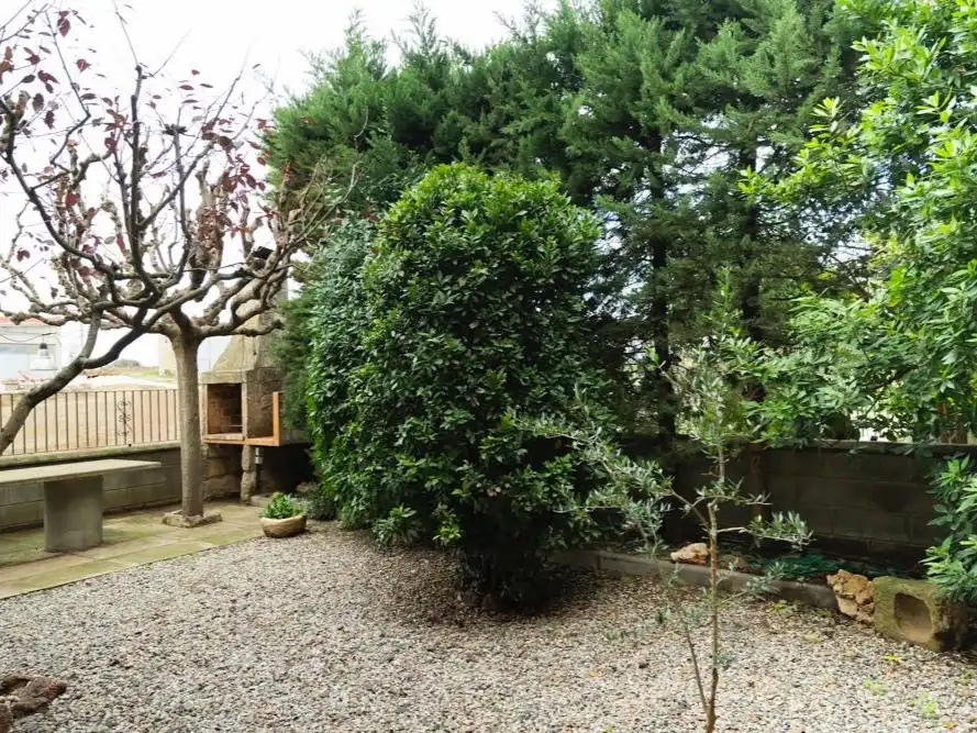 Casa amb jardí en venda a Viver 9, imagen 21