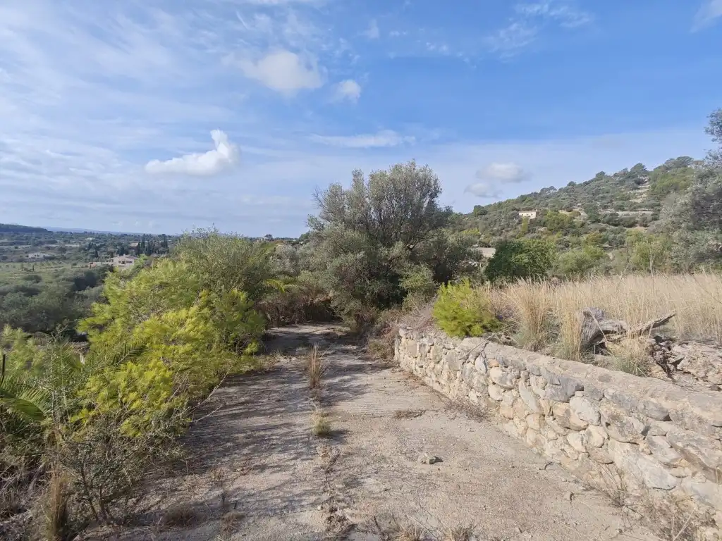 Casa rústica en venta en Selva, imagen 20