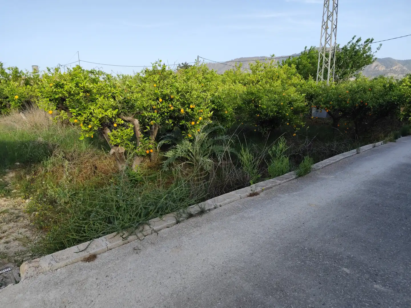 Terrenys i solars en venda a Camino Viejo de Orihuela 12, imagen 7