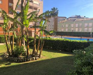 Garden of Flat to rent in Gandia  with Air Conditioner and Terrace