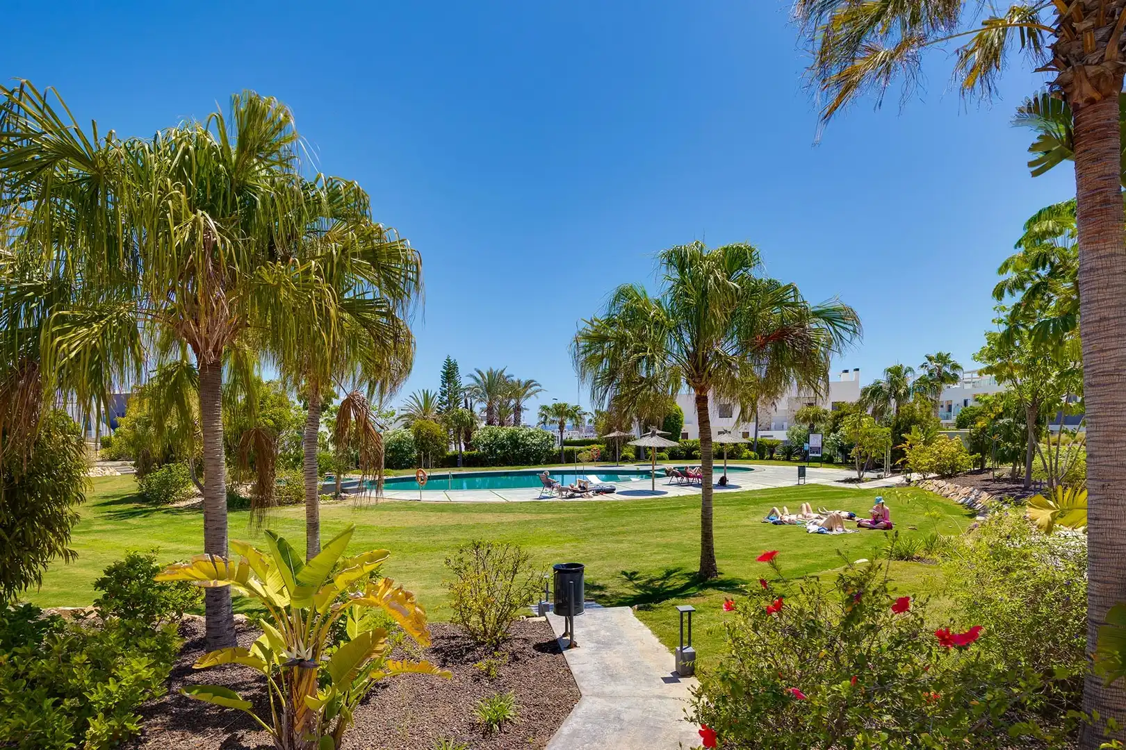 Ático con piscina en venta en Los Balcones - Los Altos, imagen 3