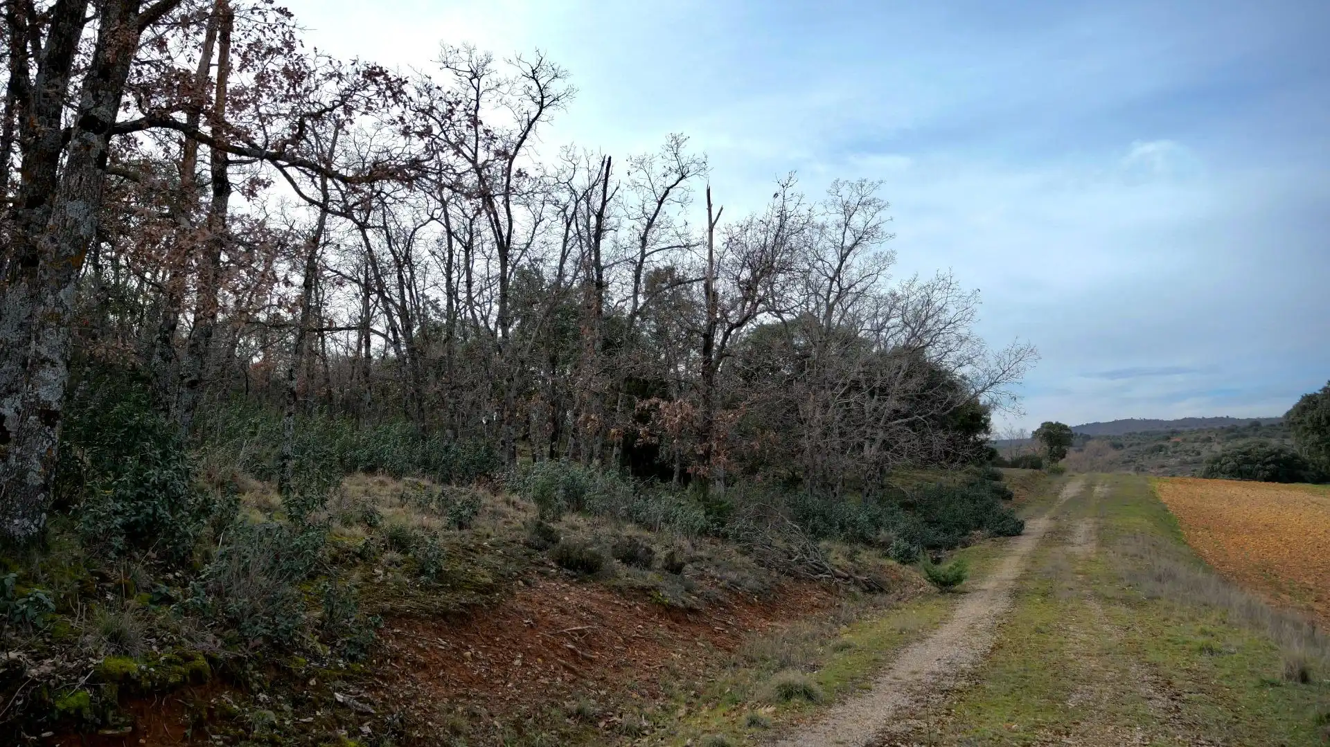 Land for sale in Arbancón