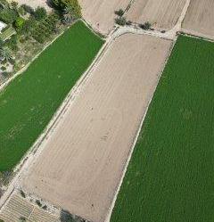 Land for sale in Barrio EL PALMERAL-POLIGONO, Callosa de Segura