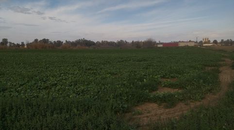 Foto 2 de Terreno en venta en Don Benito, Badajoz