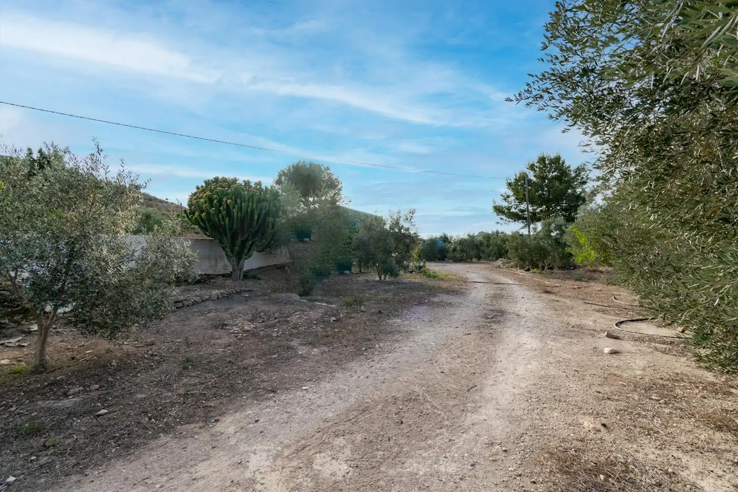 Rustikales Grundstück zum Verkauf in Pedanías Oeste, imagen 12