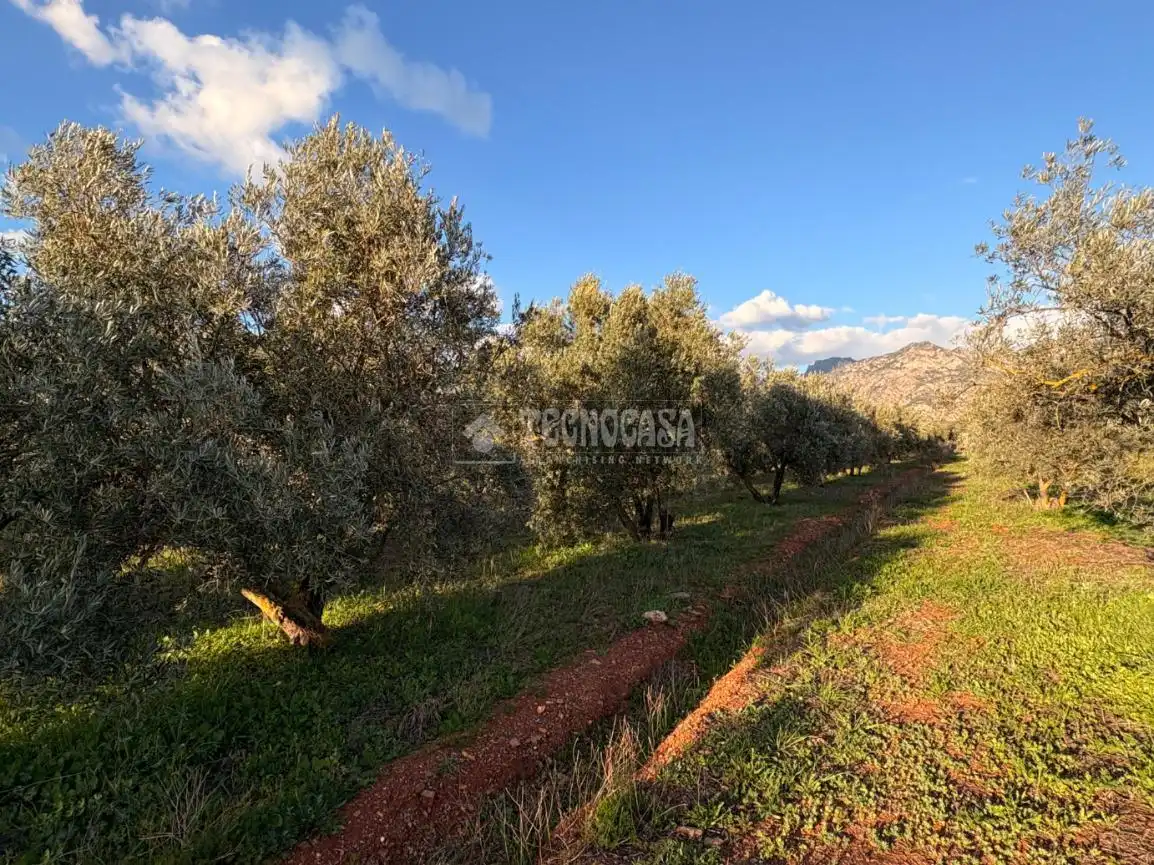 Rural land for sale in Dúrcal, imagen 2