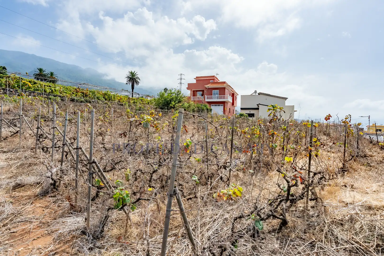 Terreno residencial en venta en Calle Vista Alegre 3, imagen 14