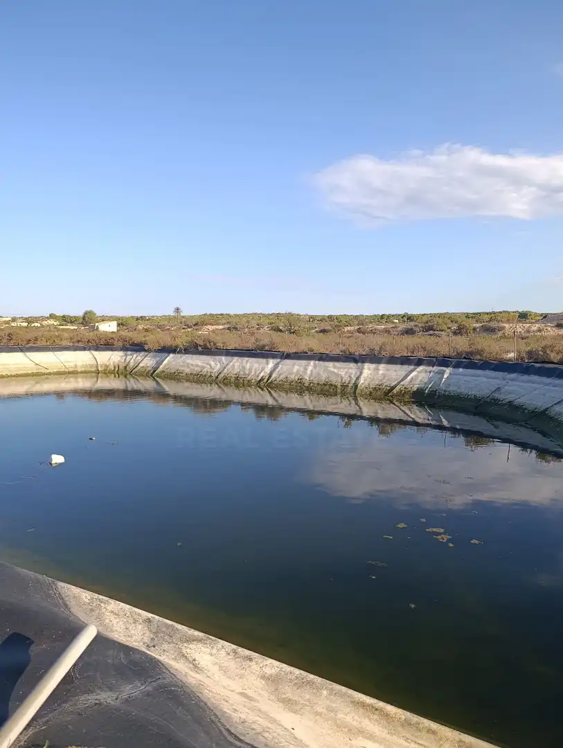 Terrain rustique à vendre à La Marina, imagen 19