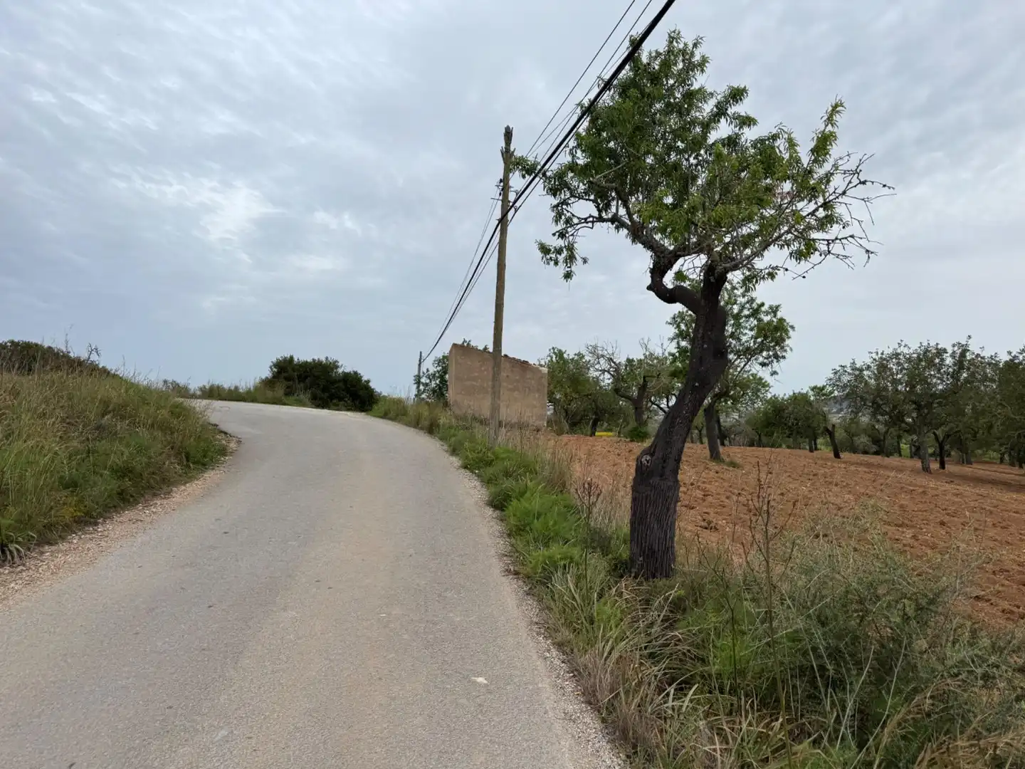 Rustikales Grundstück zum Verkauf in Camino Camí Vell de Porreres 2, imagen 22