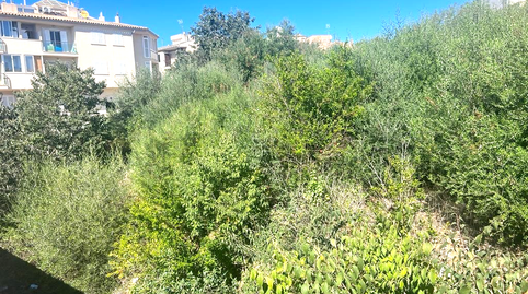 Photo 3 of Residential for sale in Agustín Argüelles, Ciudad Jardín - Zoco, Córdoba