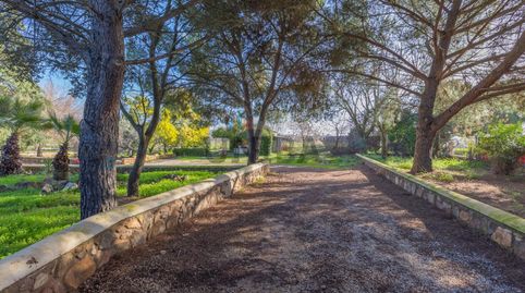 Foto 2 de Casa o chalet en venta en Dehesilla de Calamón - Campomanes, Badajoz Capital