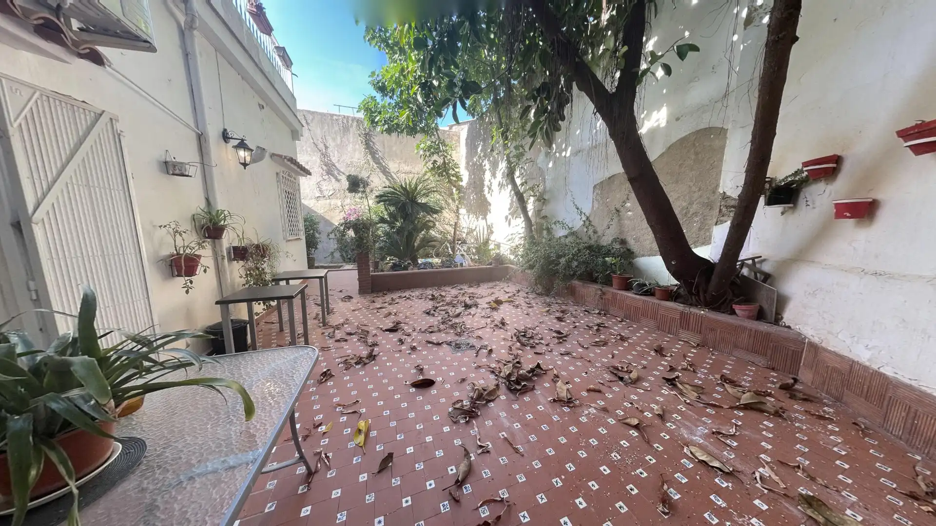 Terraza de Edificio en venta en Gandia