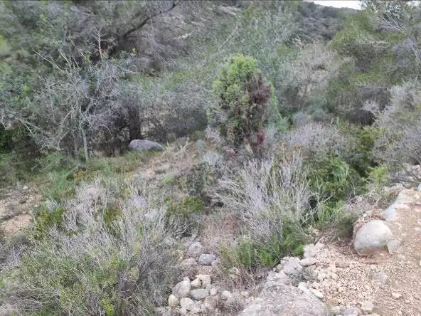 Terreno rústico en venta en Ptda El Baldomet, imagen 7